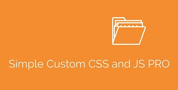 Simple Custom CSS and JS PRO